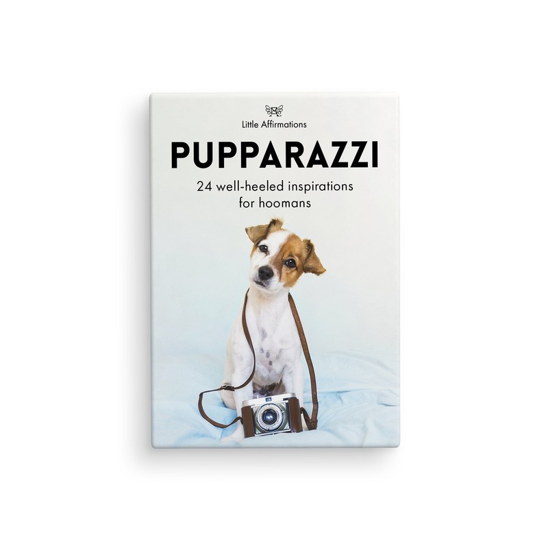 Affirmations - Pupparazzi - 24 Animal affirmation cards + stand
