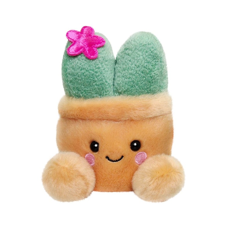 Palm Pal Seyla Scculent 13cm