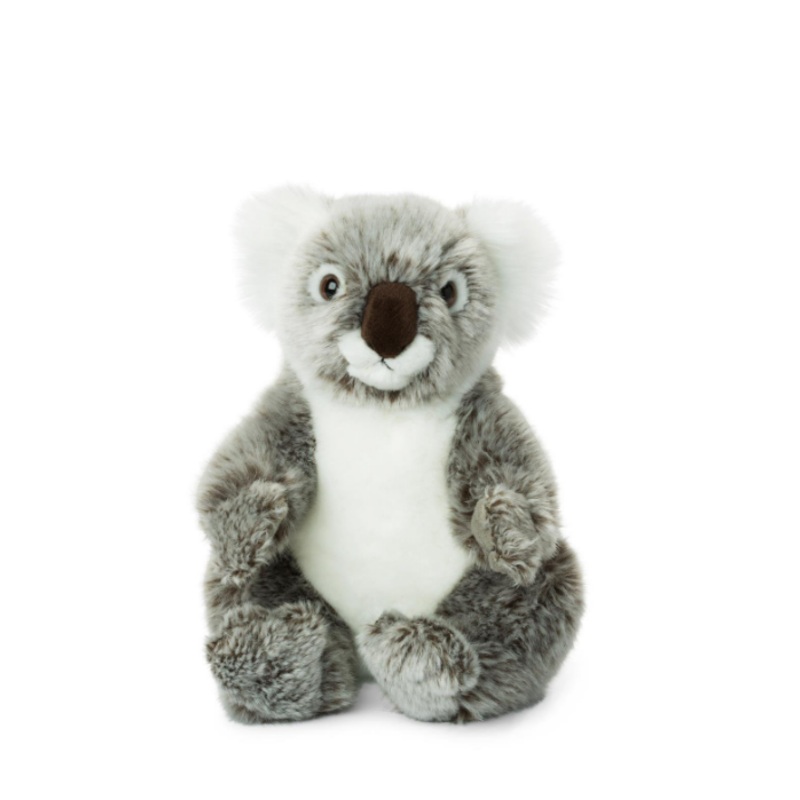 WWF Koala - 22 cm - 8.5"