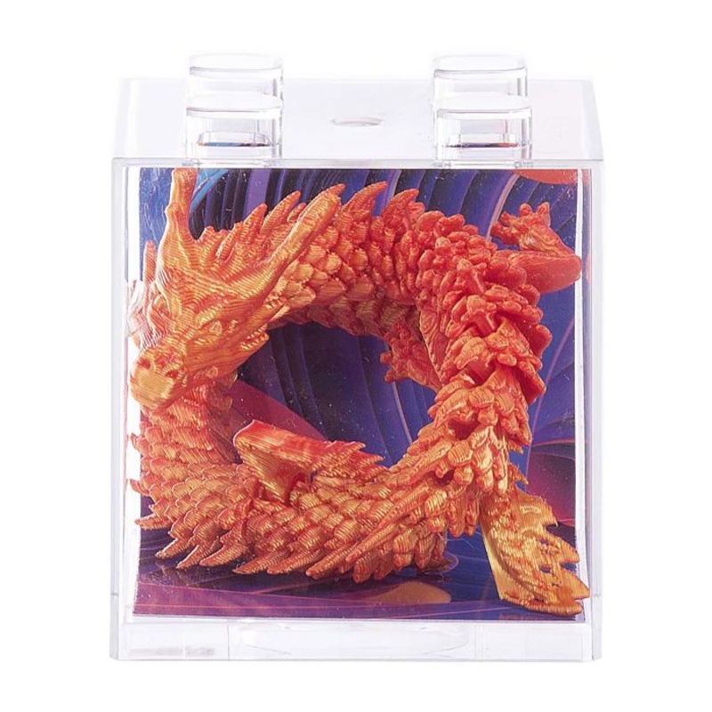 Discovery Zone 3D Sensory Dragon