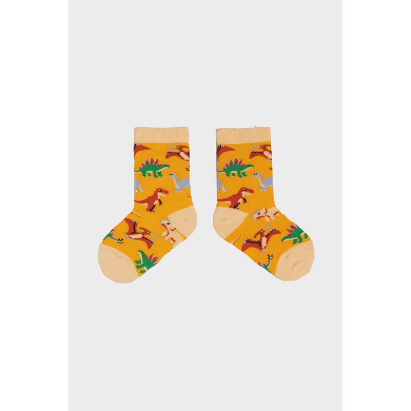 Dinosaur Socks Ages 2 - 4