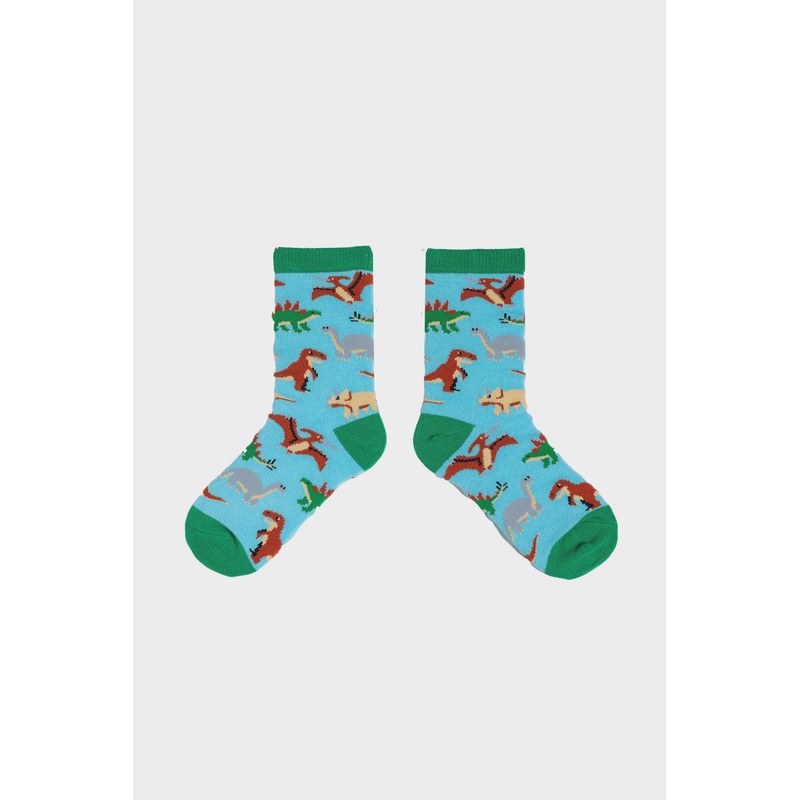 Dinosaur Socks Ages 4 -6