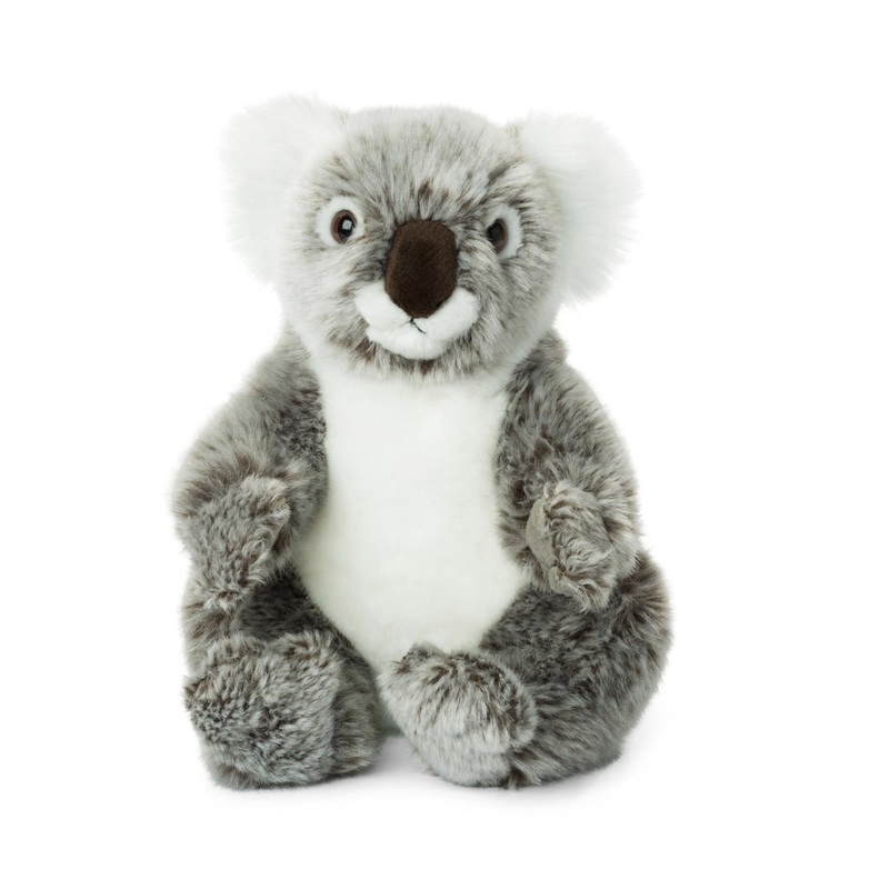 Koala Plush