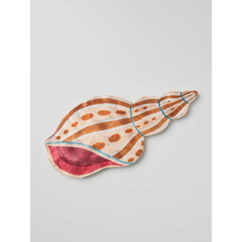 Agnar Shell Wall Art
