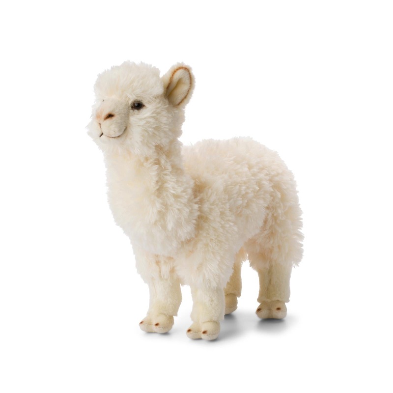 Alpaca White