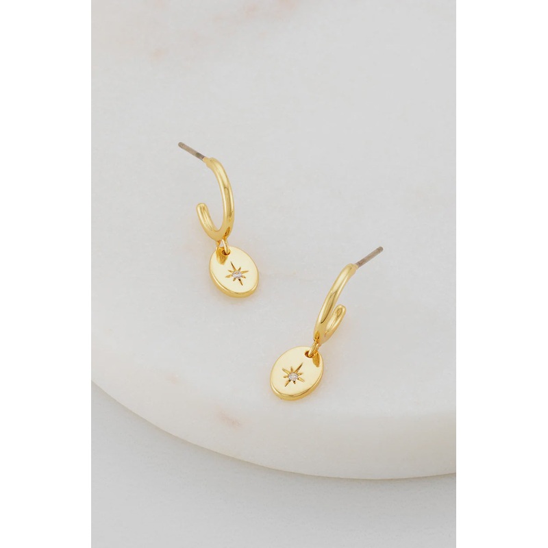 Nala Earrings - Gold (6257)