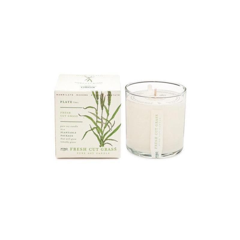 Plant The Box Candle  Fresh Cut Grass