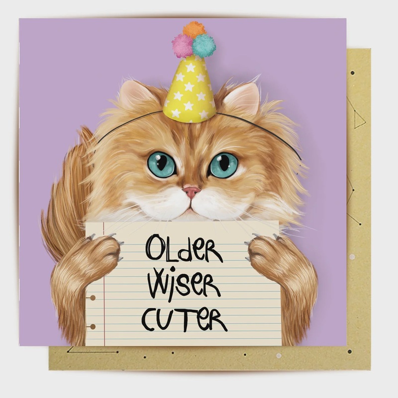 Card - Older Wiser Cuter