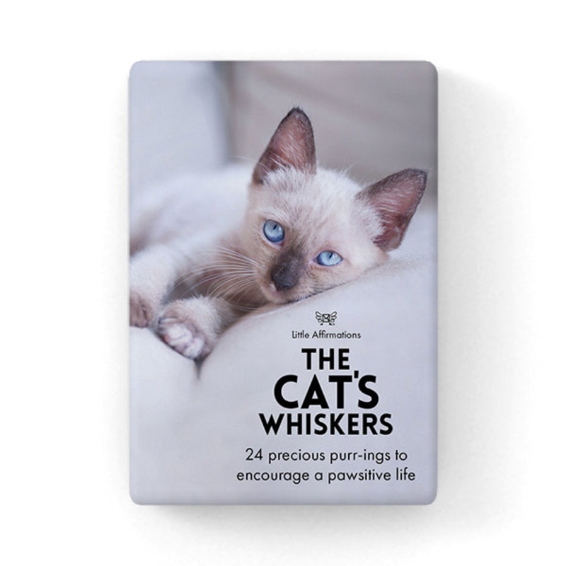 Affirmations 24 Cards - Cat's Whiskers - DCW