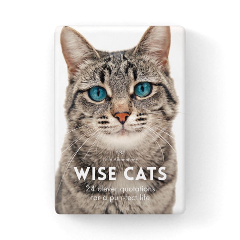 Affirmations 24 Cards - Wise Cats - DWC
