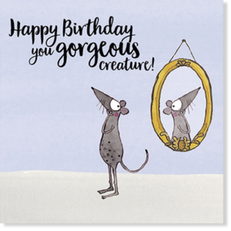 Affirmations - Twigseeds Birthday Card - Gorgeous Creature - K178