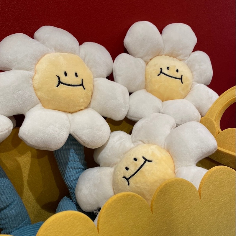 MSS Daisy Curtain Rope