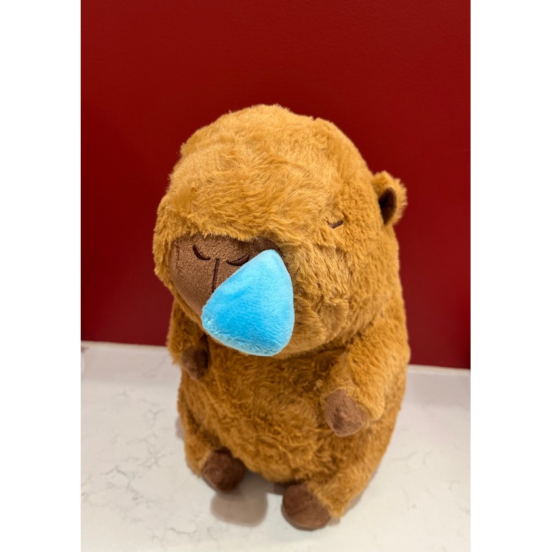 Capybara Sleeping