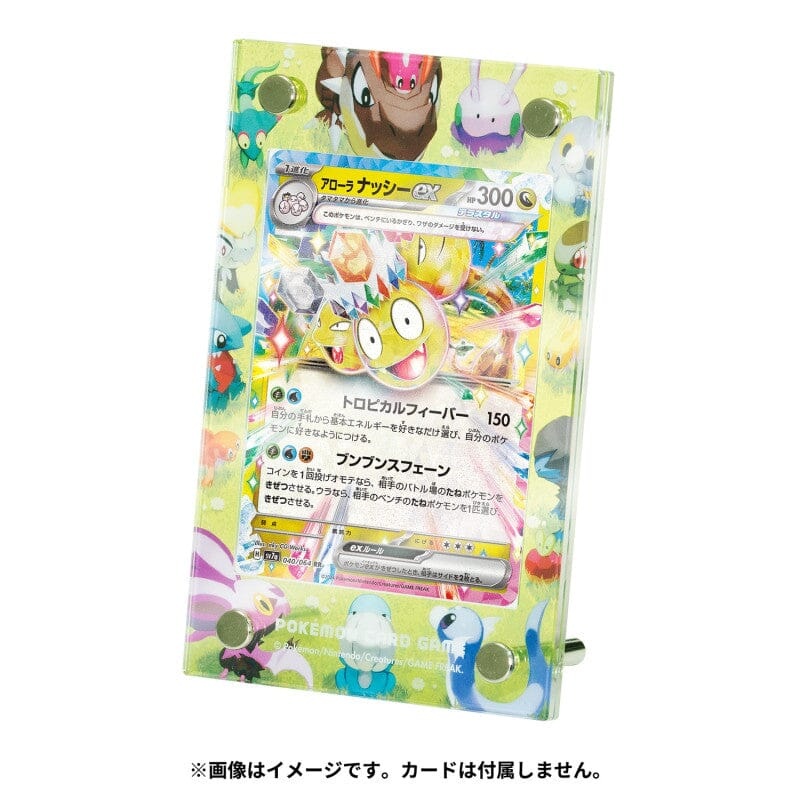 Display Card Frame Dragon Friends Pokmon Card Game