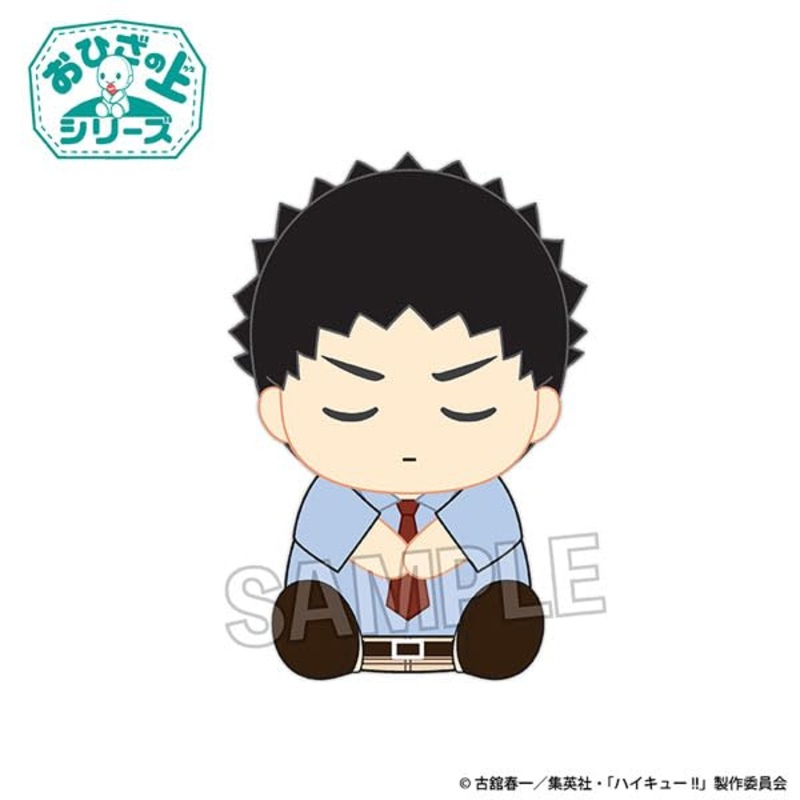 Proof Haikyu On The Lap Series Plush Iwaizumi Hajime Ohirune Ver