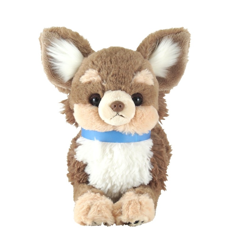 Sun Lemon Knee Wanko S Chiwawa Br P-8712