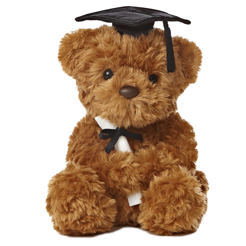 Aurora - Graduation - 8.5" Wagner Bear