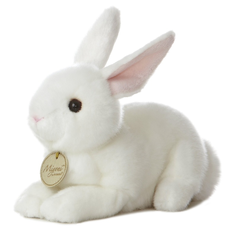 Aurora - Miyoni - American White Rabbit