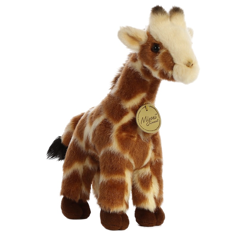 Aurora - Miyoni -  Giraffe
