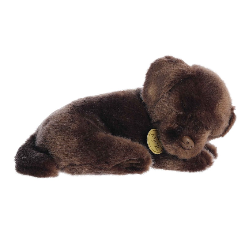 Aurora - Miyoni Tots - 10" Sleepy Chocolate Lab Pup