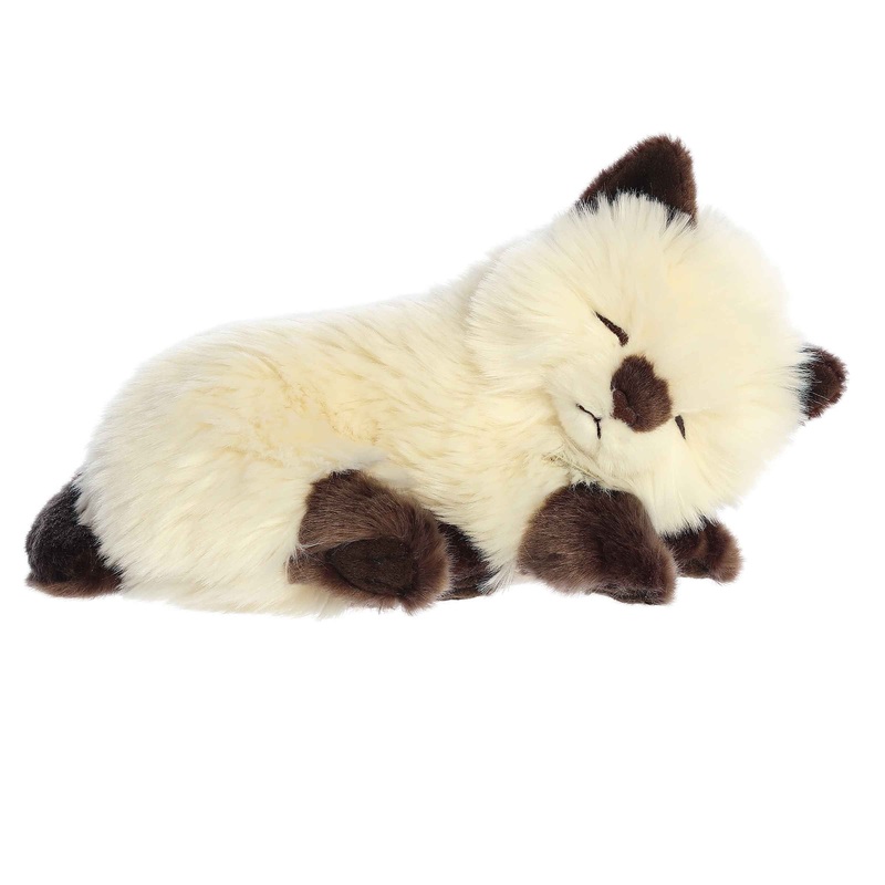 Aurora - Miyoni Tots - 10" Sleepy Himalayan Kitten