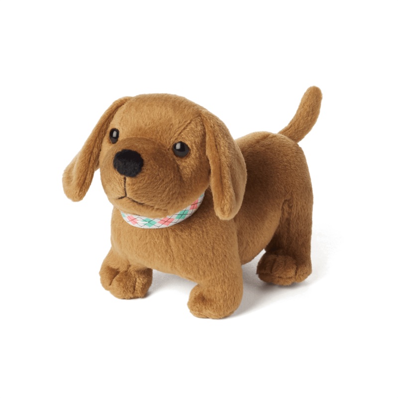 Maryellens Dog, Scooter