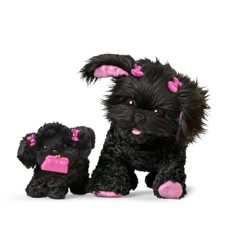 Shi-Poo Sweetie Dog Bundle