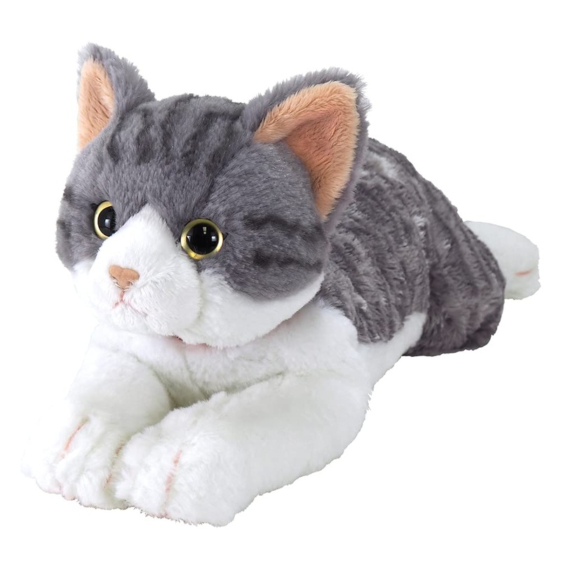 Knee Cat M Sabashiro
