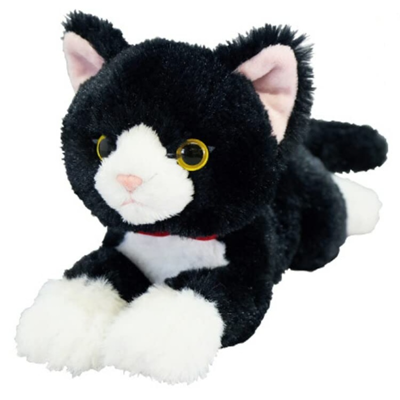 Sun Lemon Knee Cat SS P-8432
