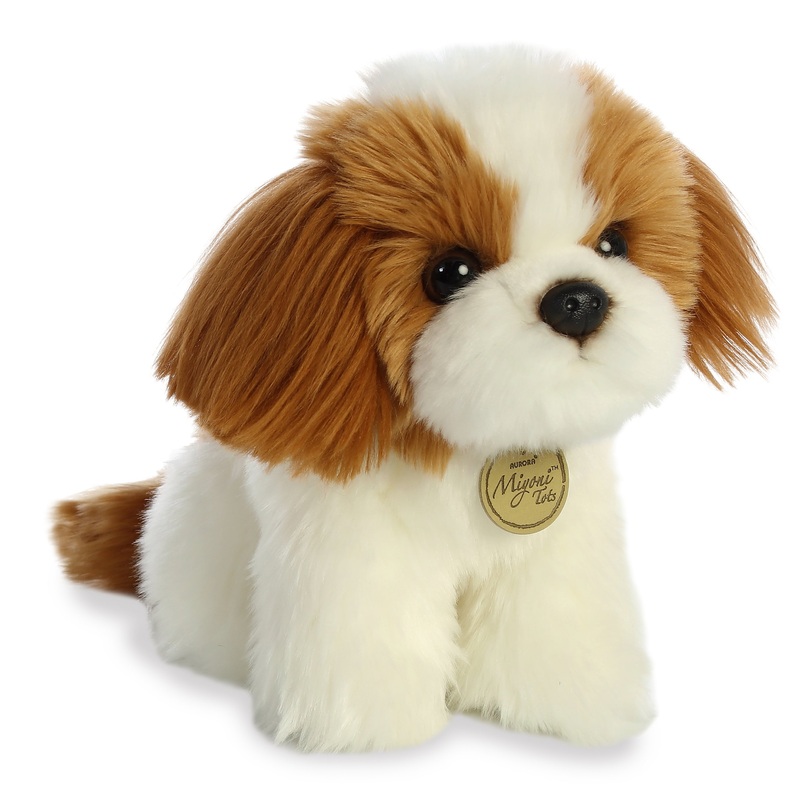 Aurora - Miyoni Tots - 11" Shih Tzu Pup