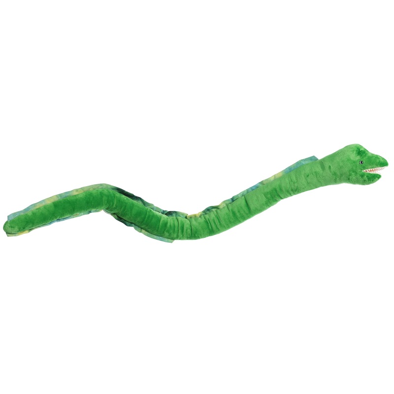 Aurora - Destination Nation - 54" Eel