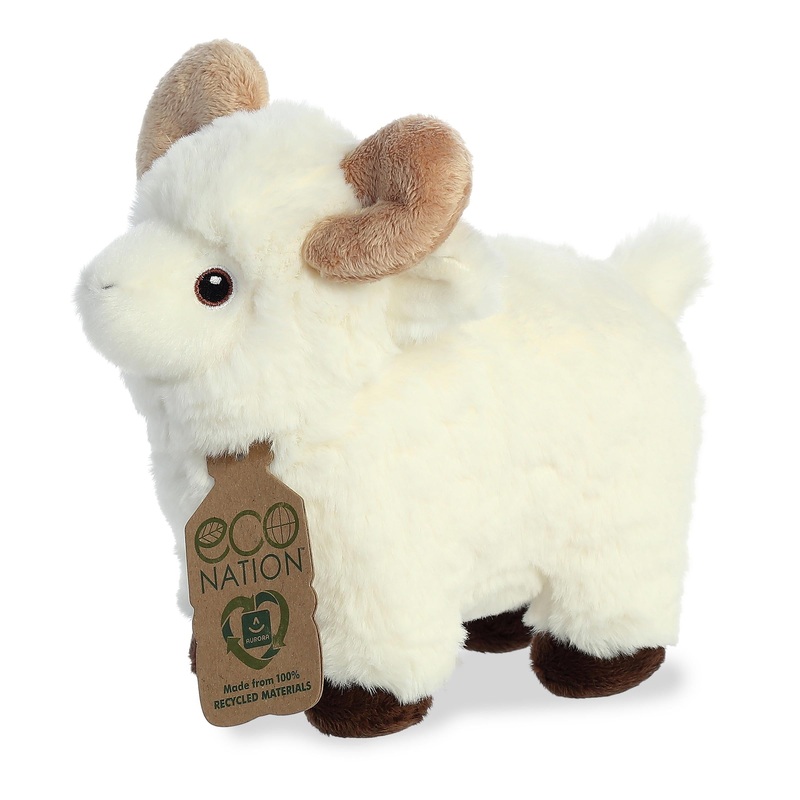 Aurora - Eco Nation - 8" Ram