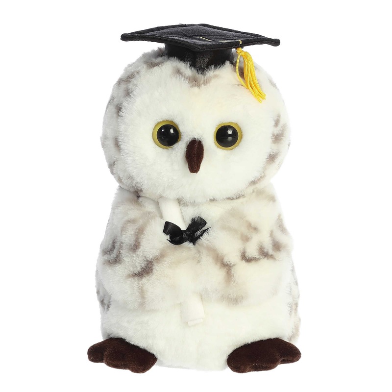 Aurora - Graduation - 9" Smart Owl